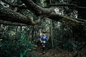 BIB: 
                            <button type="button" onclick="openModal(25706090)" class="btn btn-primary btn-sm float-right btn-popup" data-toggle="modal" data-target=".modal-high-quality">
                        <i class="fas fa-shopping-cart"></i> Add to Cart
                    </button>
                                            <button type="button" onclick="isThisMe(25706090, true)" class="btn btn-success btn-sm float-right btn-popup btn-isme hidden" data-toggle="tooltip" data-placement="bottom" title="นี่คือรูปของคุณใช่ไหม คลิกที่นี่เพื่อเอาเข้าอัลบั้ม">
                        <i class="fas fa-plus"></i> Add to album
                    </button>
                    <button type="button" onclick="isThisMe(25706090, false)" class="btn btn-warning btn-sm float-right btn-popup btn-isnotme hidden">
                        <i class="fas fa-ban"></i> Remove from album
                    </button>